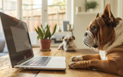 Dogs Make the Best Coworkers